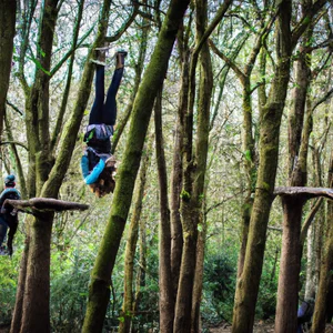 GoApe Battersea: kaland a fák között London szívében