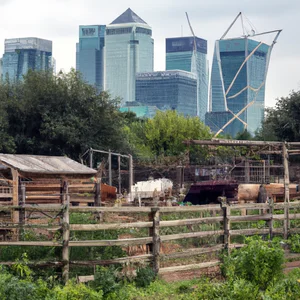 Shamba la Mudchute na Hifadhi: Shamba la Mjini na maoni ya anga ya Canary Wharf