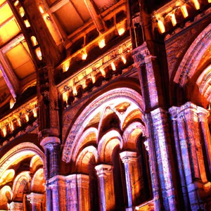 Natural History Museum: dinosaurs, gems and natural wonders in the heart of London