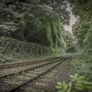 Parkland Walk: az elhagyott vasútvonal, amely természetvédelmi területté vált