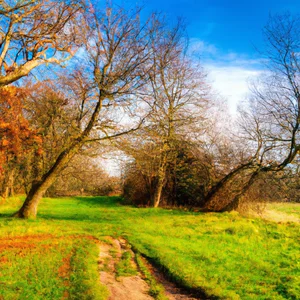 Taman Desa Stanmore: mendaki hutan belantara di pinggir London