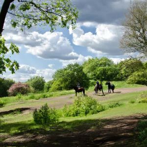 Trent Park: Reiten und unberührte Natur im Norden Londons