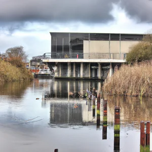 Walthamstow Wetlands: vogels kijken en wilde dieren in East End